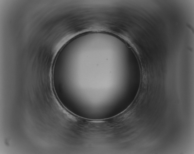 X0000101991343200807181139
