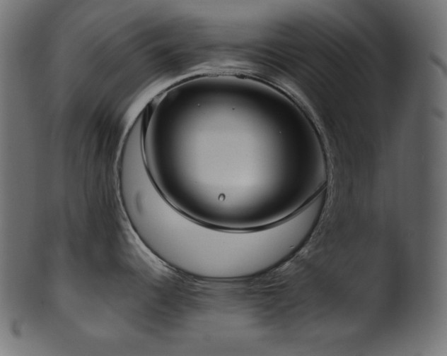 X0000101991344200807181139