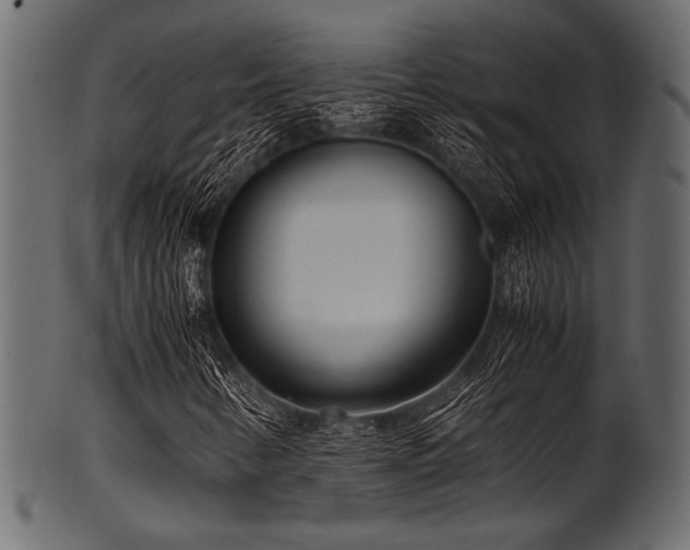 X0000101991346200807181138
