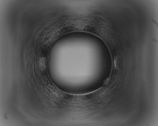 X0000101991347200807181138