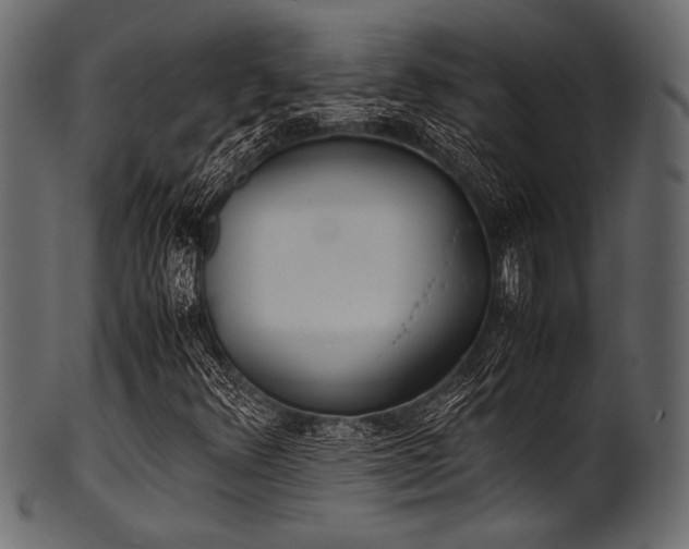 X0000101991348200807181138