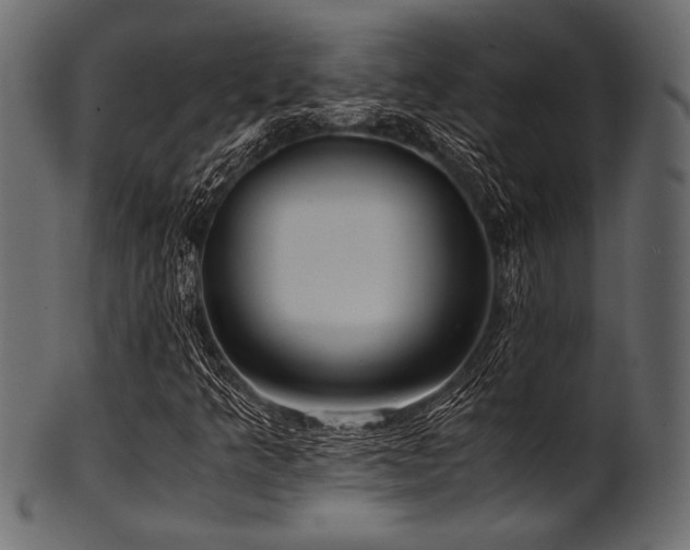 X0000101991349200807181138