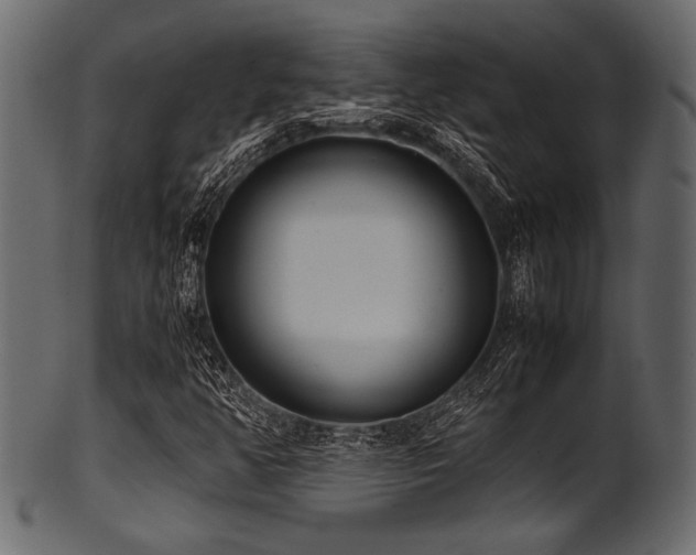 X0000101991350200807181138