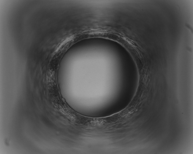 X0000101991351200807181138