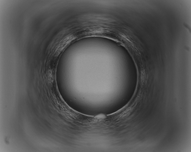 X0000101991353200807181138