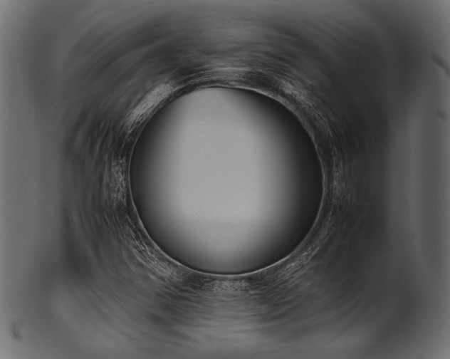 X0000101991354200807181138