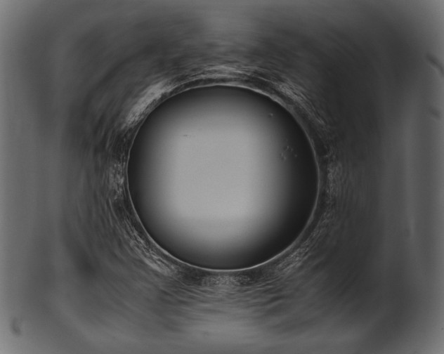 X0000101991355200807181138