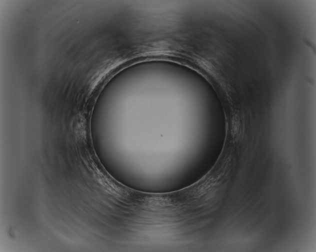 X0000101991356200807181138