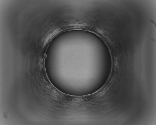 X0000101991357200807181138