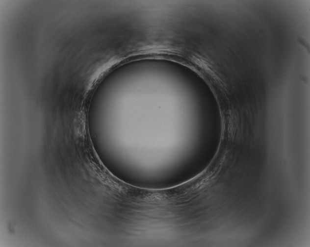 X0000101991358200807181138