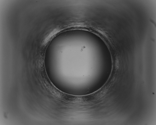 X0000101991359200807181138
