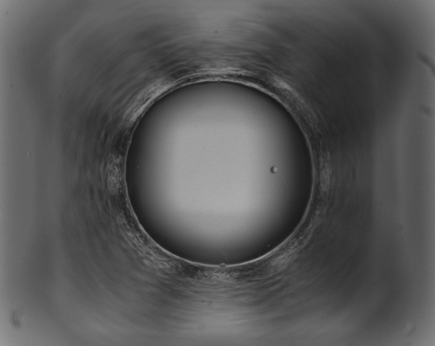 X0000101991361200807181138