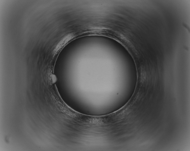 X0000101991362200807181138