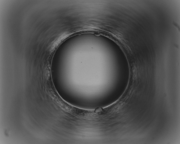 X0000101991363200807181138