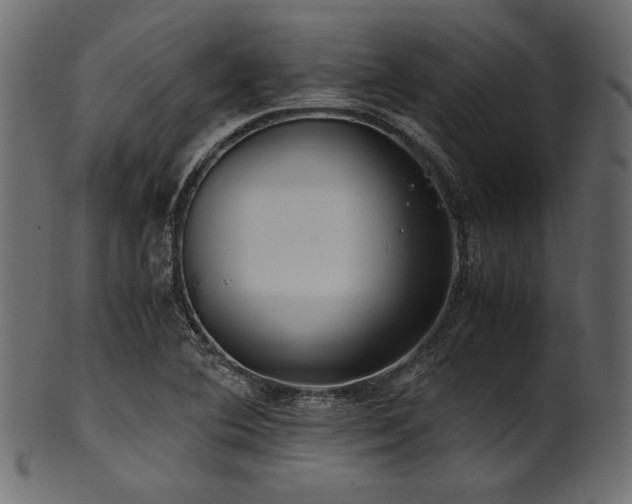 X0000101991364200807181138