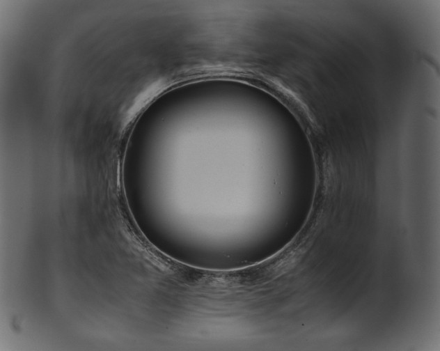 X0000101991365200807181138