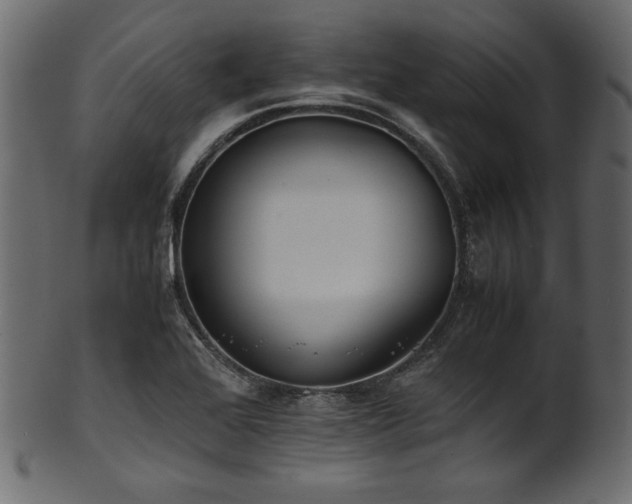 X0000101991368200807181138
