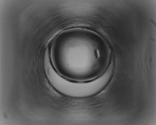 X0000101991369200807181138