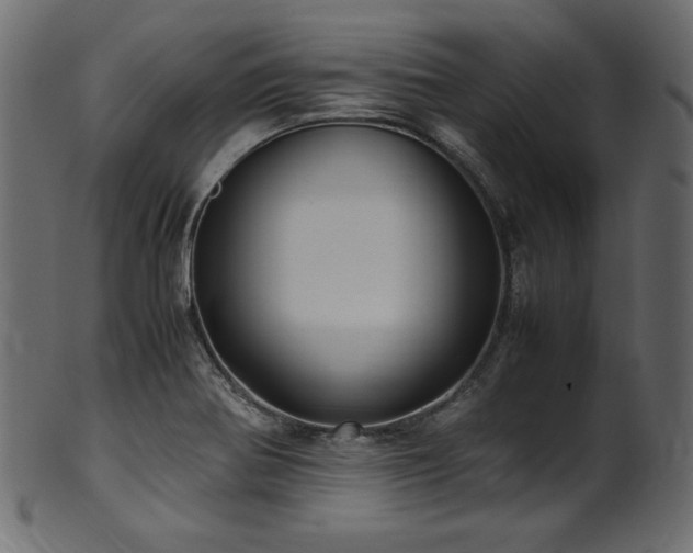 X0000101991370200807181138