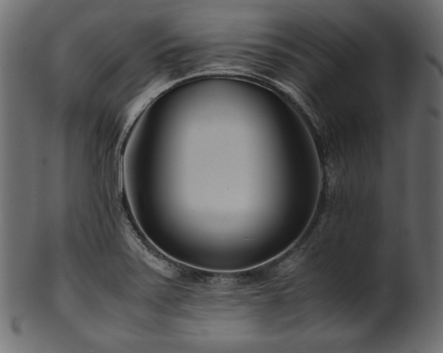 X0000101991371200807181138