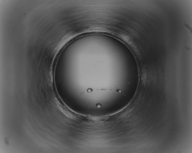 X0000101991372200807181138