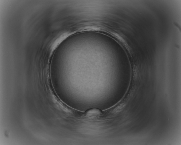 X0000101991373200807181138