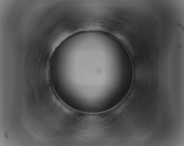 X0000101991374200807181138