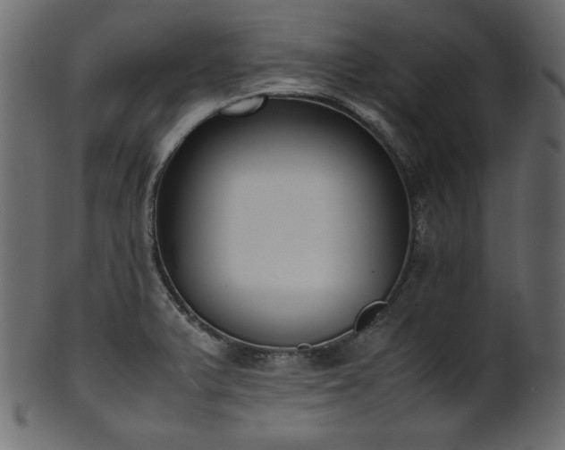 X0000101991375200807181138