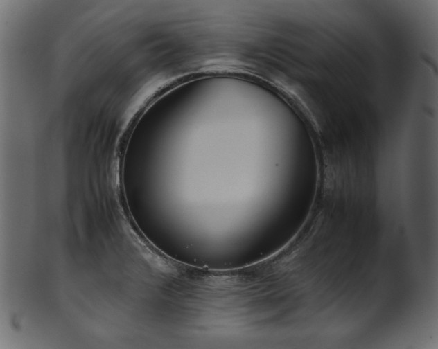 X0000101991376200807181138