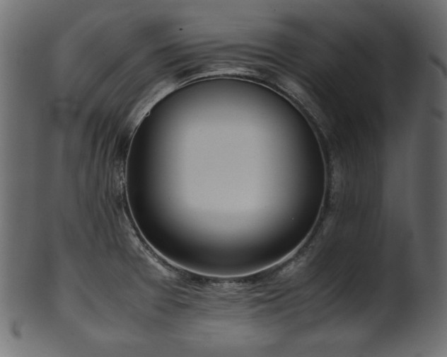 X0000101991377200807181138