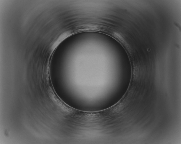 X0000101991378200807181138