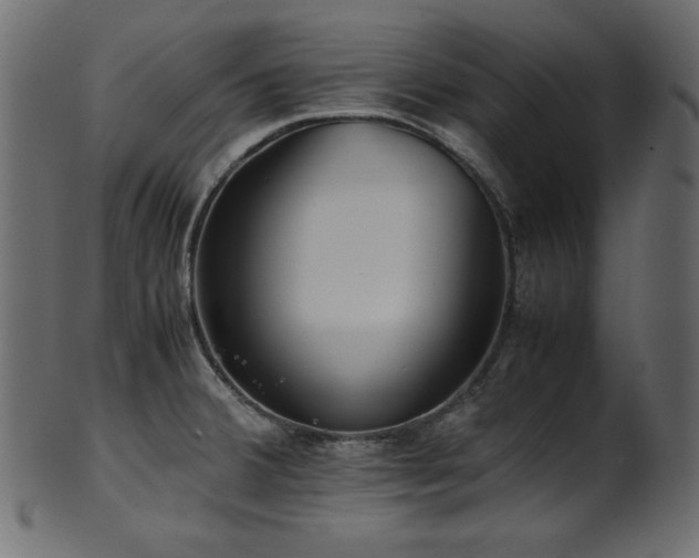 X0000101991380200807181138