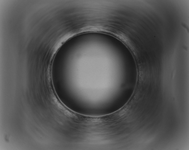 X0000101991382200807181138