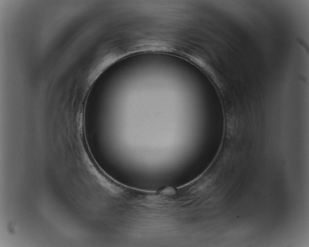 X0000101991383200807181138