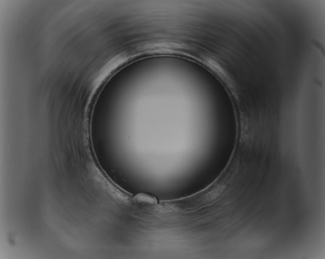 X0000101991384200807181138