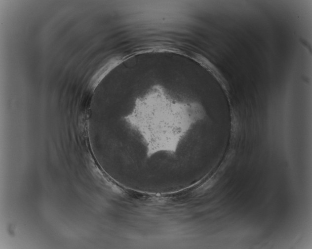 X0000101991385200807181138