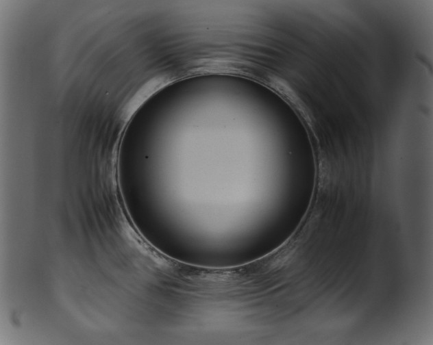 X0000101991386200807181138