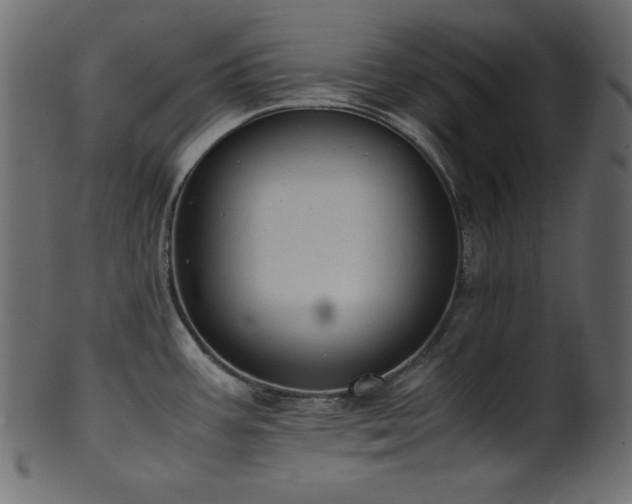 X0000101991387200807181138