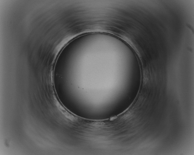 X0000101991388200807181138