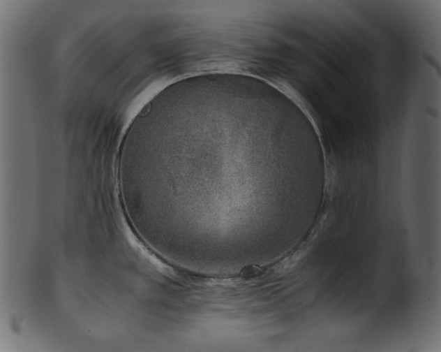 X0000101991389200807181138