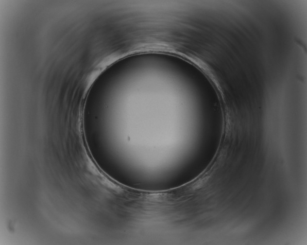 X0000101991390200807181138