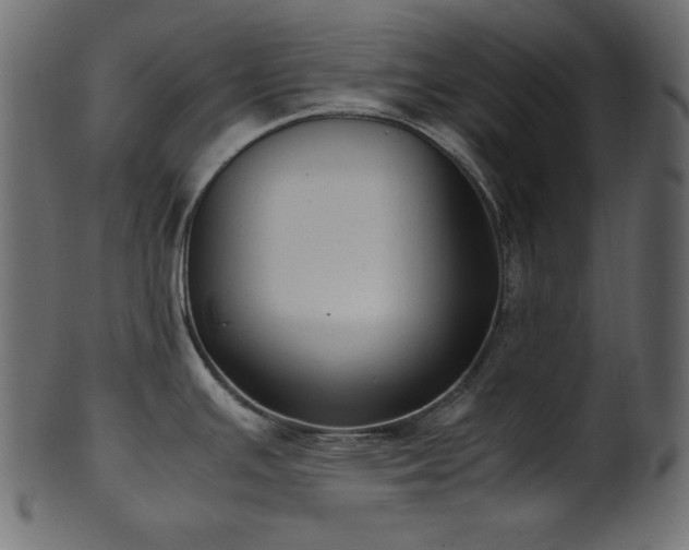 X0000101991391200807181138
