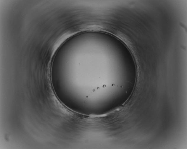 X0000101991392200807181138