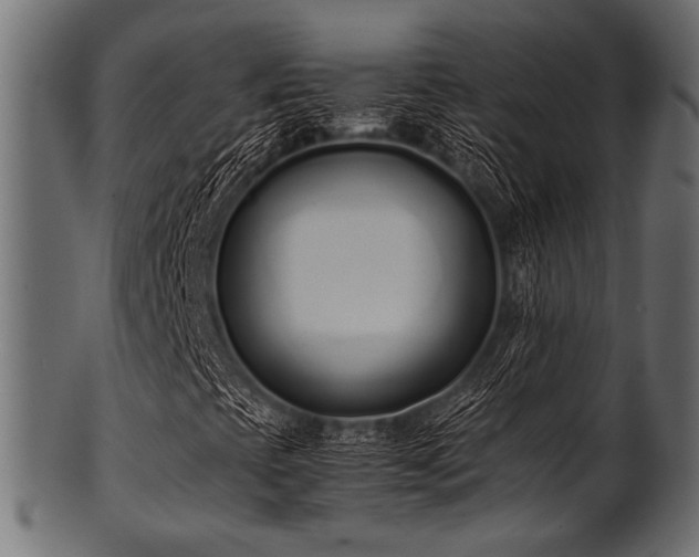 X0000101991393200807181137