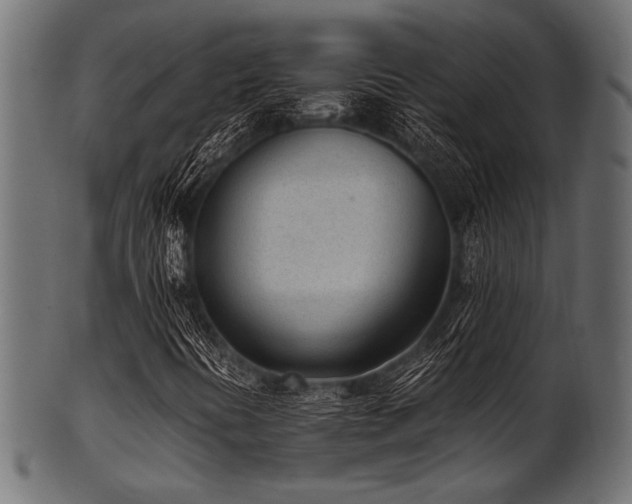 X0000101991394200807181137