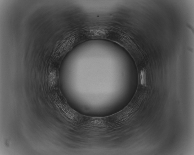 X0000101991395200807181137