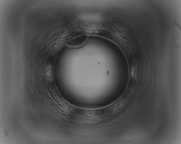 X0000101991396200807181137