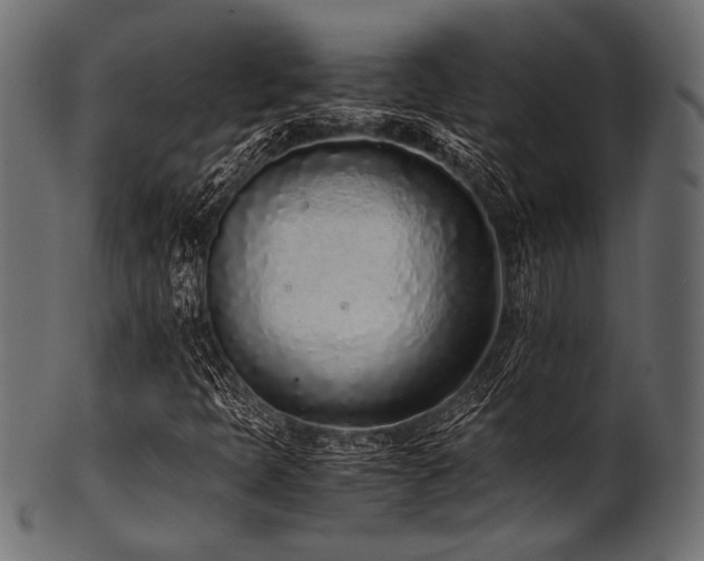 X0000101991397200807181137