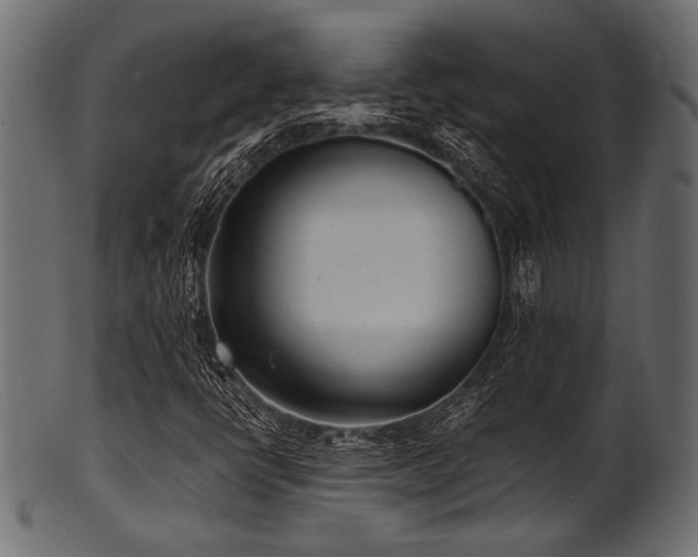 X0000101991398200807181137