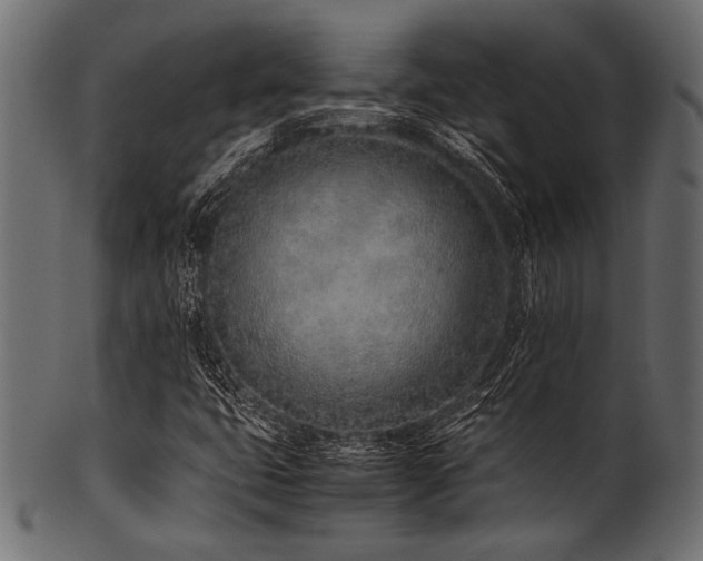 X0000101991399200807181137